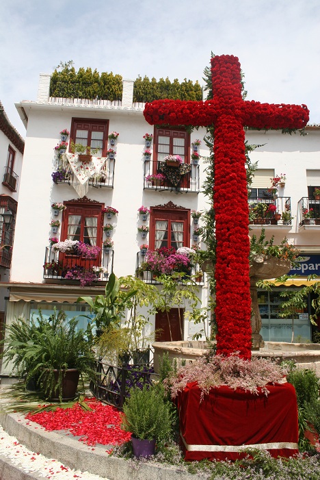 Cruces de Mayo, AMACVA